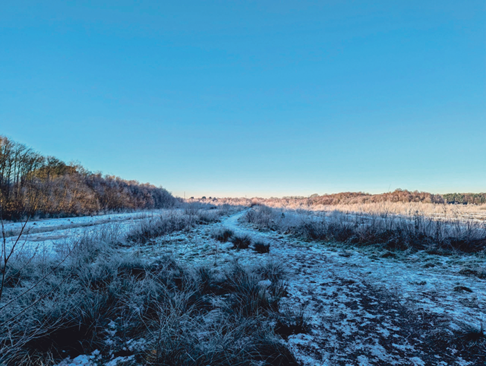 Growing support for Lindow Moss